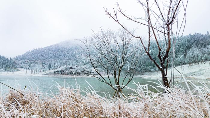 酉阳迎来今冬第一场降雪