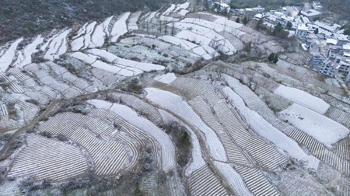 酉阳迎来今冬第一场降雪