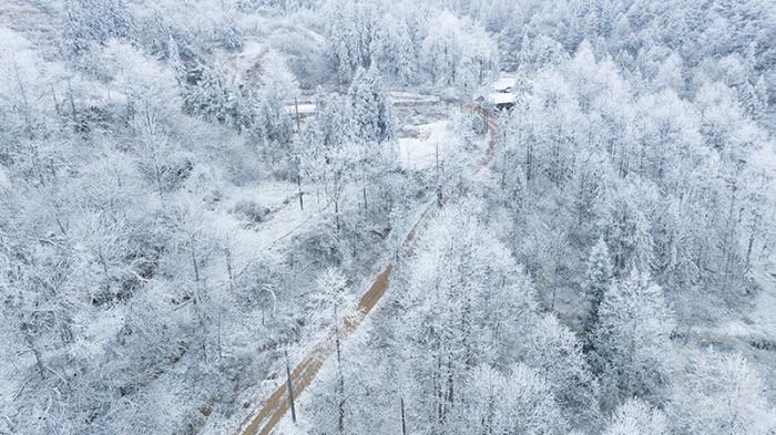 酉阳迎来今冬第一场降雪