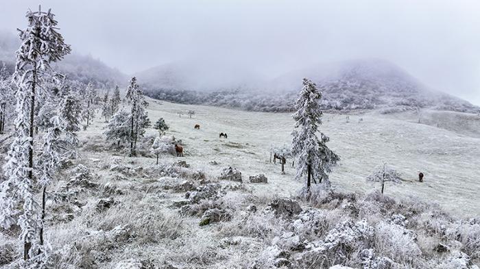 酉阳迎来今冬第一场降雪