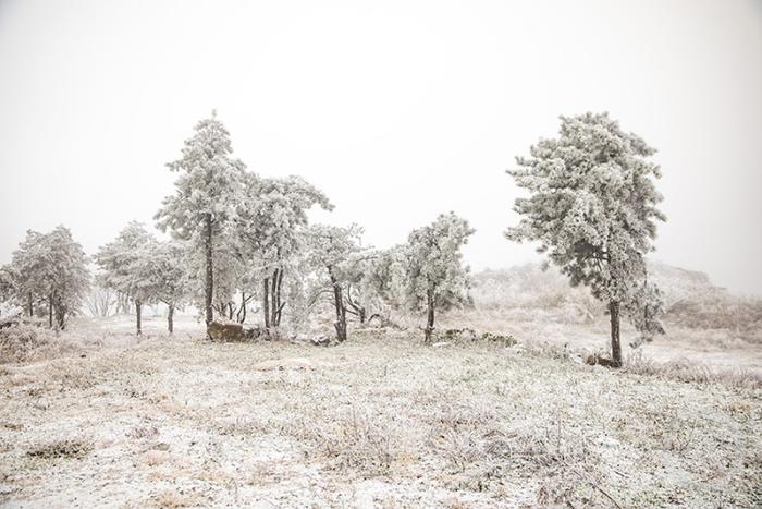 酉阳迎来今冬第一场降雪