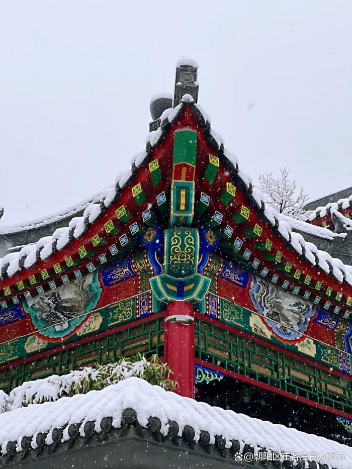 欣赏崔各庄雪日美景，感受独特浪漫