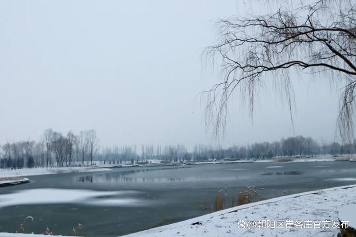 欣赏崔各庄雪日美景，感受独特浪漫