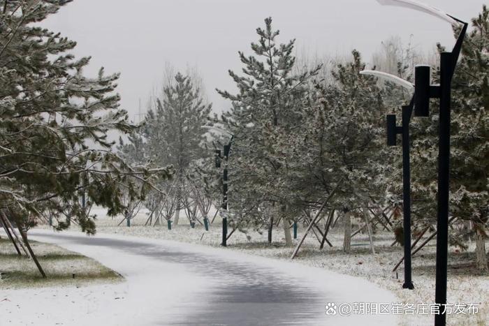 欣赏崔各庄雪日美景，感受独特浪漫