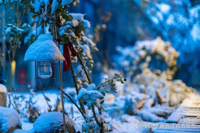 欣赏崔各庄雪日美景，感受独特浪漫