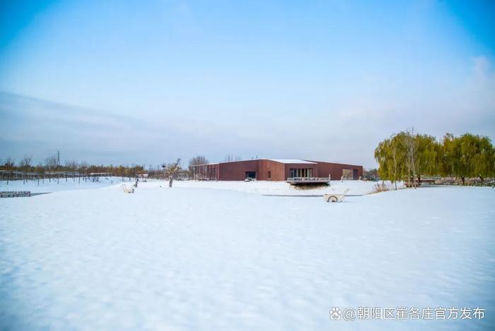 欣赏崔各庄雪日美景，感受独特浪漫