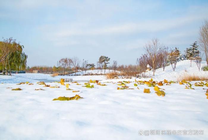 欣赏崔各庄雪日美景，感受独特浪漫