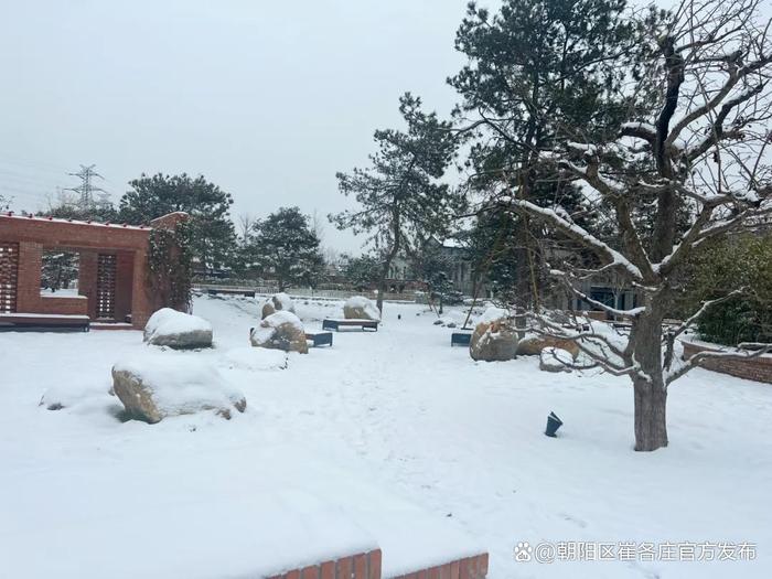 欣赏崔各庄雪日美景，感受独特浪漫