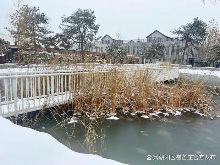 欣赏崔各庄雪日美景，感受独特浪漫