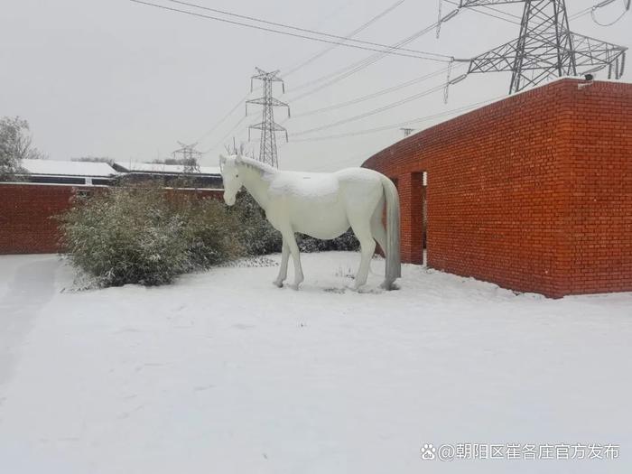 欣赏崔各庄雪日美景，感受独特浪漫