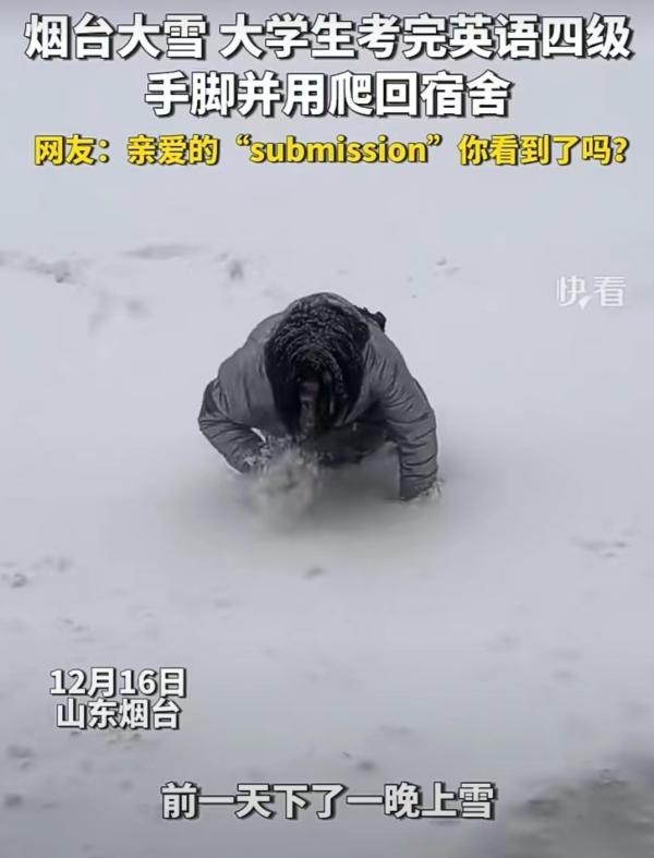 马上评丨让大学生“投降”的submission算偏题吗？