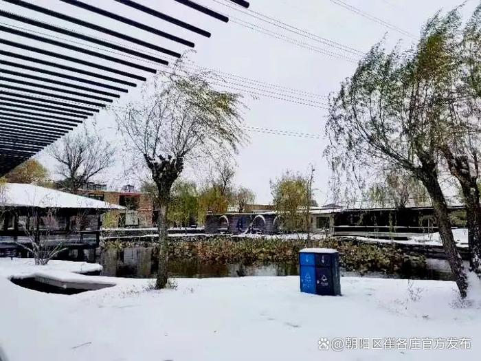 欣赏崔各庄雪日美景，感受独特浪漫