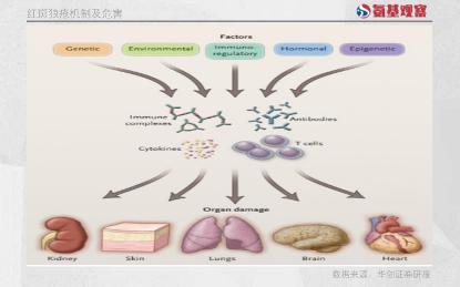 率先攻克红斑狼疮的，会是中国药企吗？