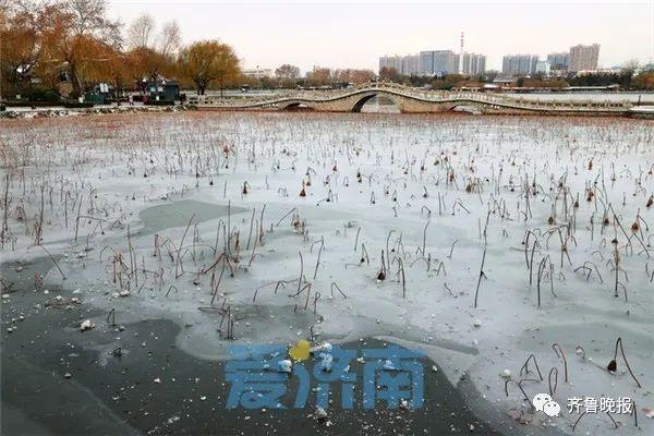 局部大暴雪！山东再发“双橙”预警，济南最低温-21℃，大明湖已结冰