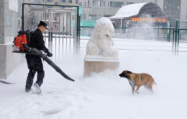 吉林图们边防：警犬冬季训练正当时