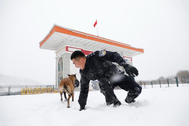 吉林图们边防：警犬冬季训练正当时