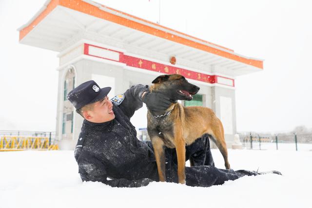 吉林图们边防：警犬冬季训练正当时