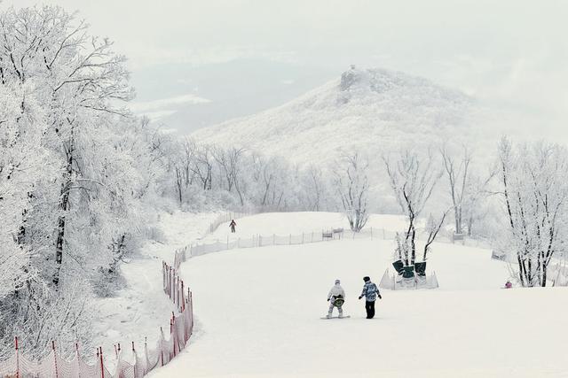 镜头连中外·第35辑｜从阿尔卑斯山到长白山：“世界冰雪黄金纬度带”冰雪经济正“火热”