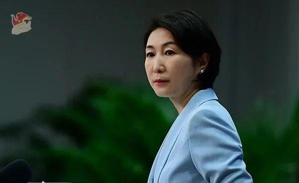 毛宁(资料图)图源:外交部网站