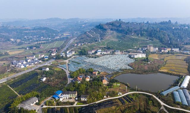 四川广安：乡村田地整齐排列 翠绿青山与民居相交辉映