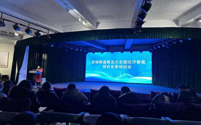 重庆渝北区：龙塔街道开展第五次全国经济普查综合业务培训会