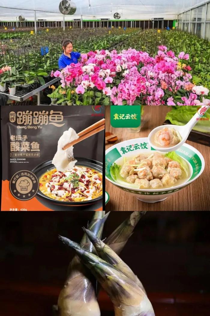 还在转发“锦鲤”？南海这里有真·锦鲤送，更超多豪礼等你拿！