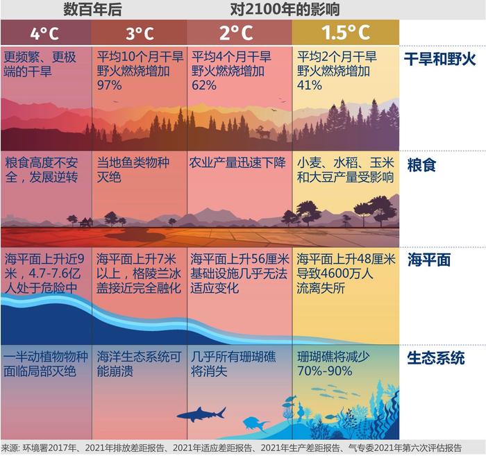 2023年终报道｜森林之危①：未受侵扰的原始森林