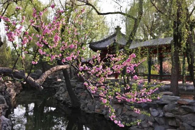 天潢贵胄，御前侍卫，风雅公子……纳兰性德能不能满足你对白马王子的所有想象？