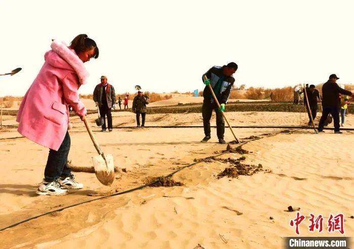 央媒看兵团 | 看兵团如何在中国最大沙漠边建“森林绿洲”?