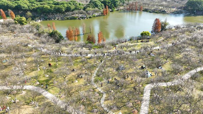 第14届广州萝岗香雪文化旅游节开幕