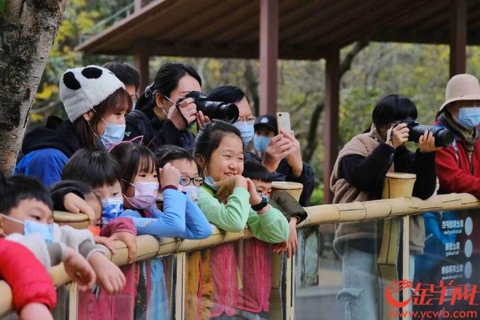 广州动物园熊猫馆将扩建，有熊猫新成员加入？