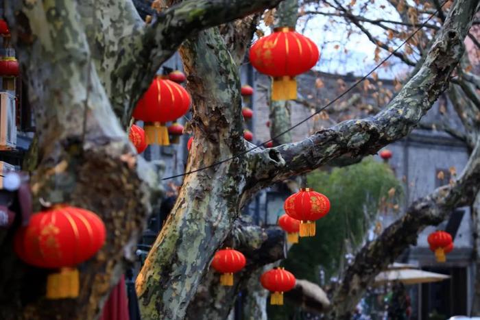 今天，一股冷空气扑向青岛！晚上嘎嘎冷！网友：你可真是掐着点来啊，老祖宗诚不欺我