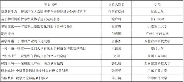 2022年大学生微创业行动项目分析报告