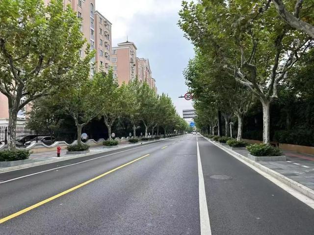 上海长宁这些精品道路是这样“炼成”的