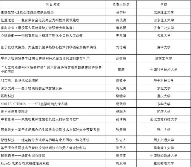 2022年大学生微创业行动项目分析报告