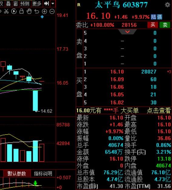 太平鸟一字涨停，2023年净利润同比预增125%左右