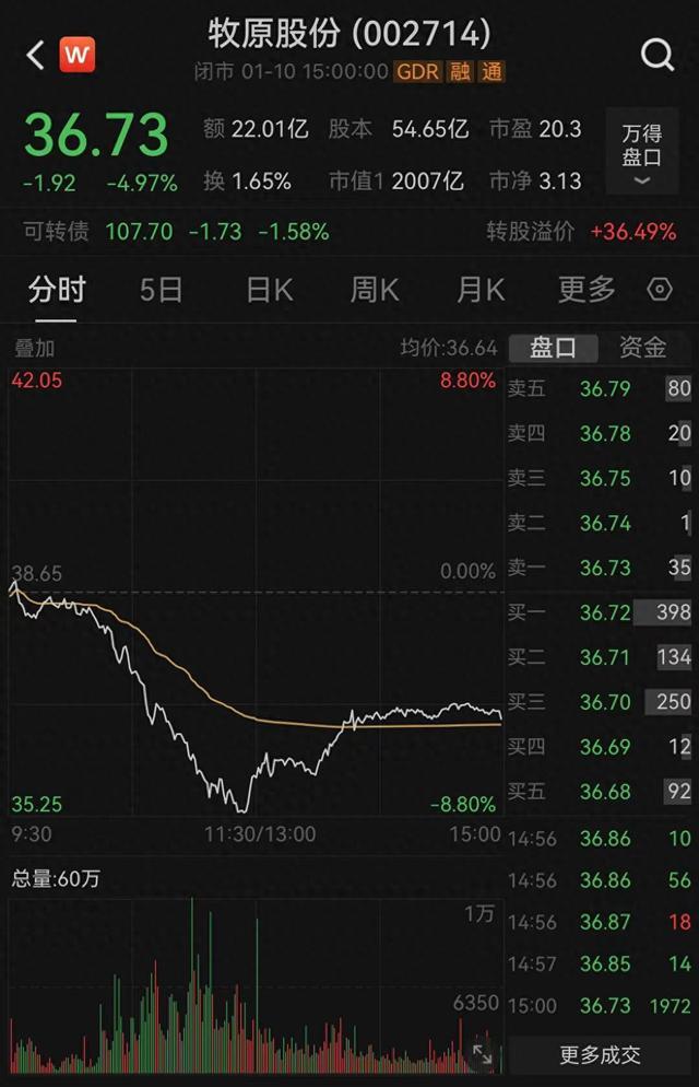 股价一度跌逾8%，牧原股份最新发声：公司当前现金流安全稳定