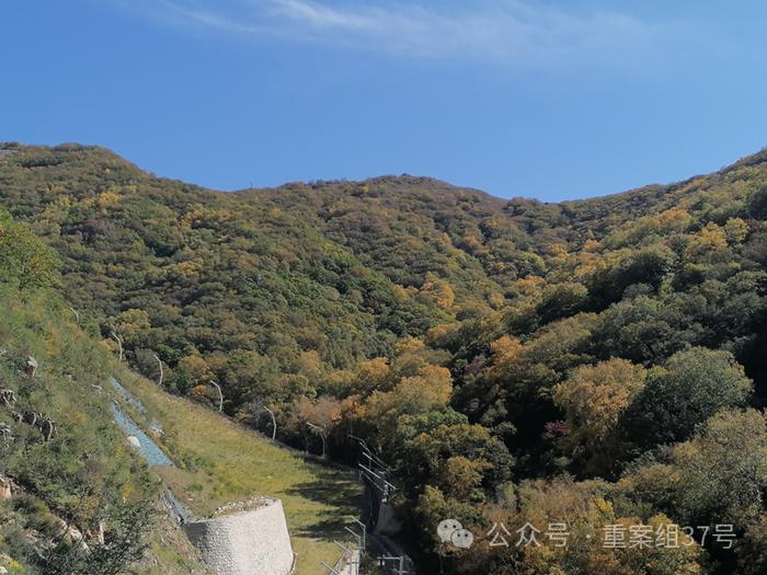 “大山里面有宝藏”