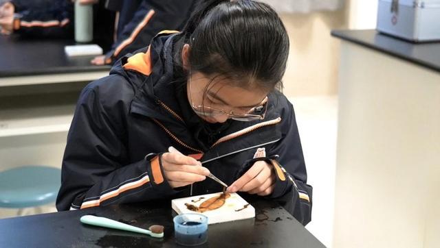 玩嗨了！南外雨花国际学校初中部学生沉浸式体验科技魅力