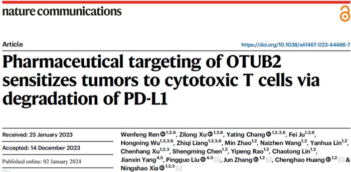 Nature子刊 | 中国科学家揭示癌症免疫治疗新靶点——OTUB2