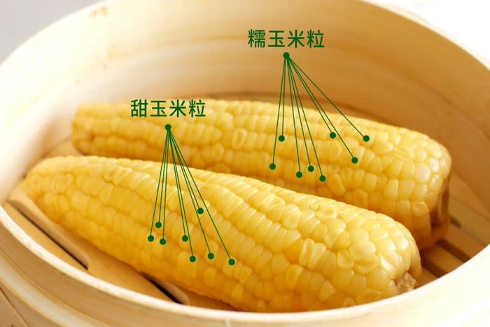 你喜欢吃甜玉米还是糯玉米？