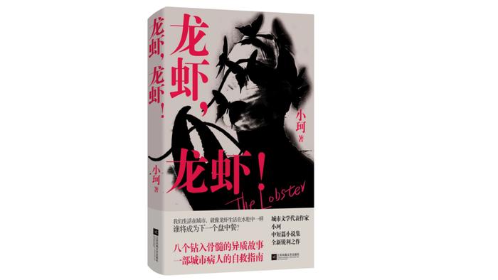 《大河之舞》升级归来，京剧名家名段荟萃一堂 | 北京文艺日历