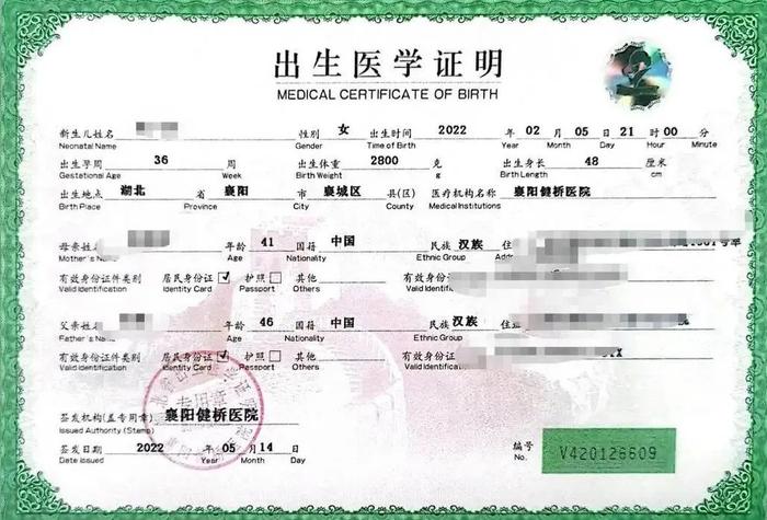 被举报“为代孕婴儿伪造出生证”后，涉事医院及关联公司被强制执行74万元