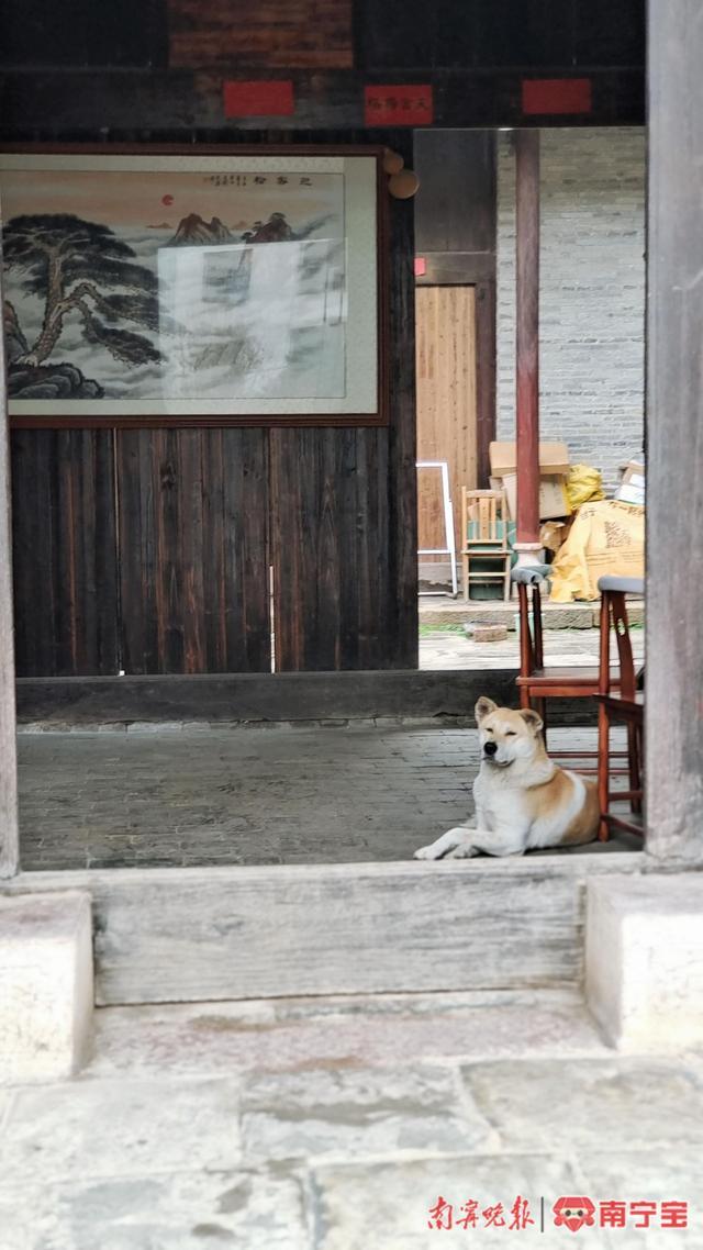 城市记忆之最美街巷：白沙南一里——推窗见美景 邻里多和谐