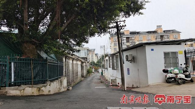 城市记忆之最美街巷：白沙南一里——推窗见美景 邻里多和谐