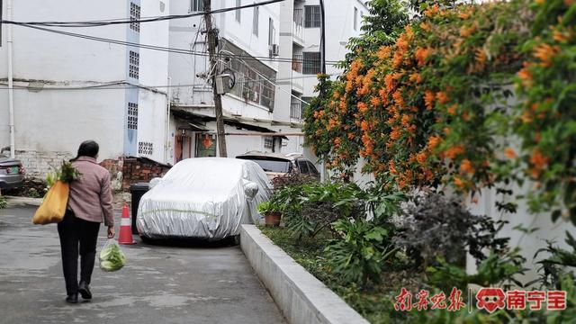 城市记忆之最美街巷：白沙南一里——推窗见美景 邻里多和谐