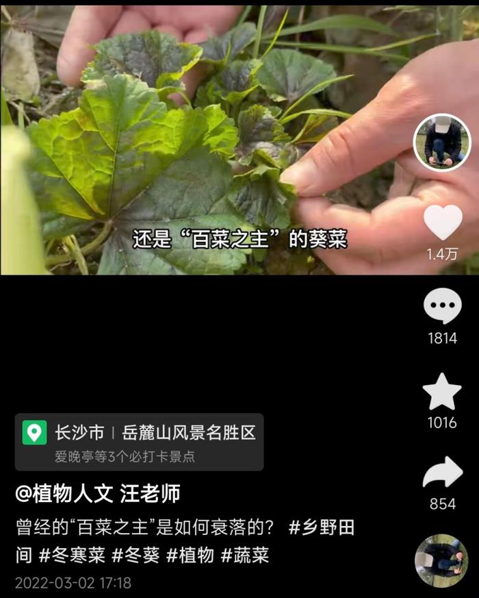 20万网友追更“叶子专家”，他用抖音记录长沙周边超400种植物