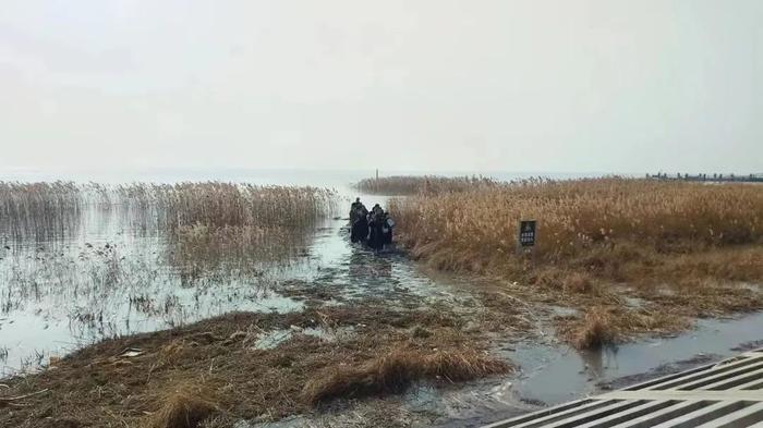 事发上海崇明！13名年轻人拍摄取景，未注意潮水上涨，被困滩涂