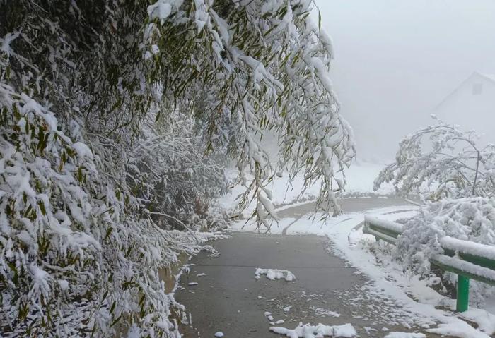 宜昌多地下雪！2024年首场寒潮来了→