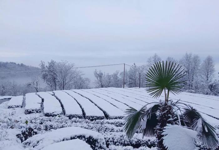 宜昌多地下雪！2024年首场寒潮来了→